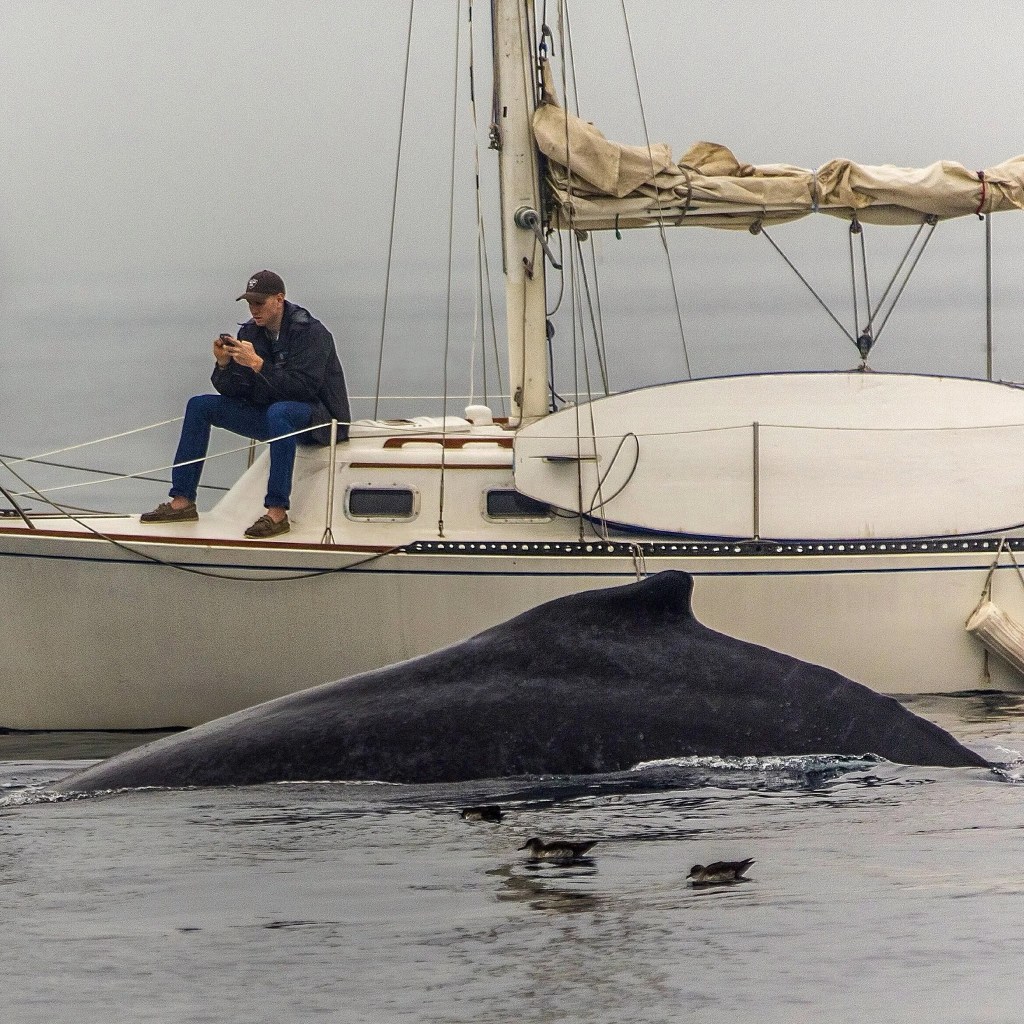 Some interesting articles!